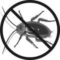 How to Get Rid of Fleas 1428.jpg