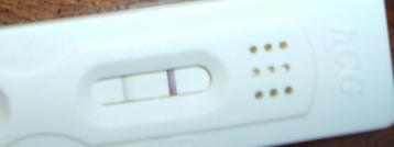 Hcg_Ultra_1228.jpg